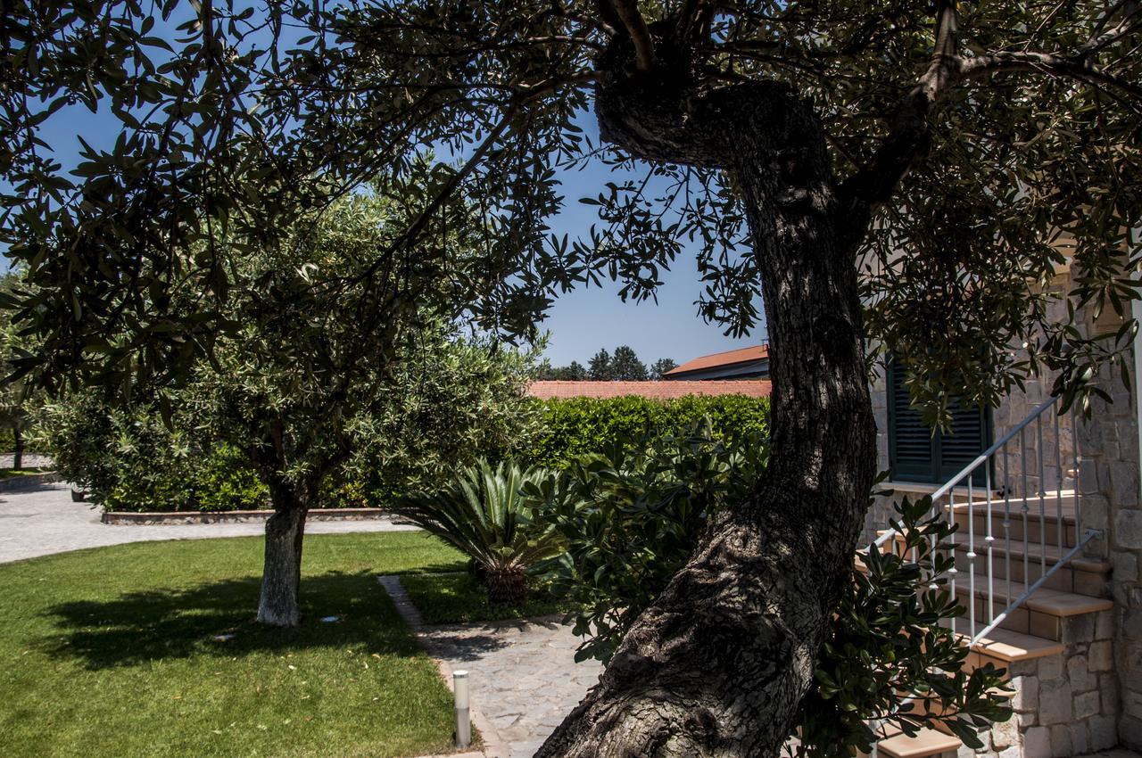 Oliveto A Mare - Suite & Apartment Ascea Extérieur photo